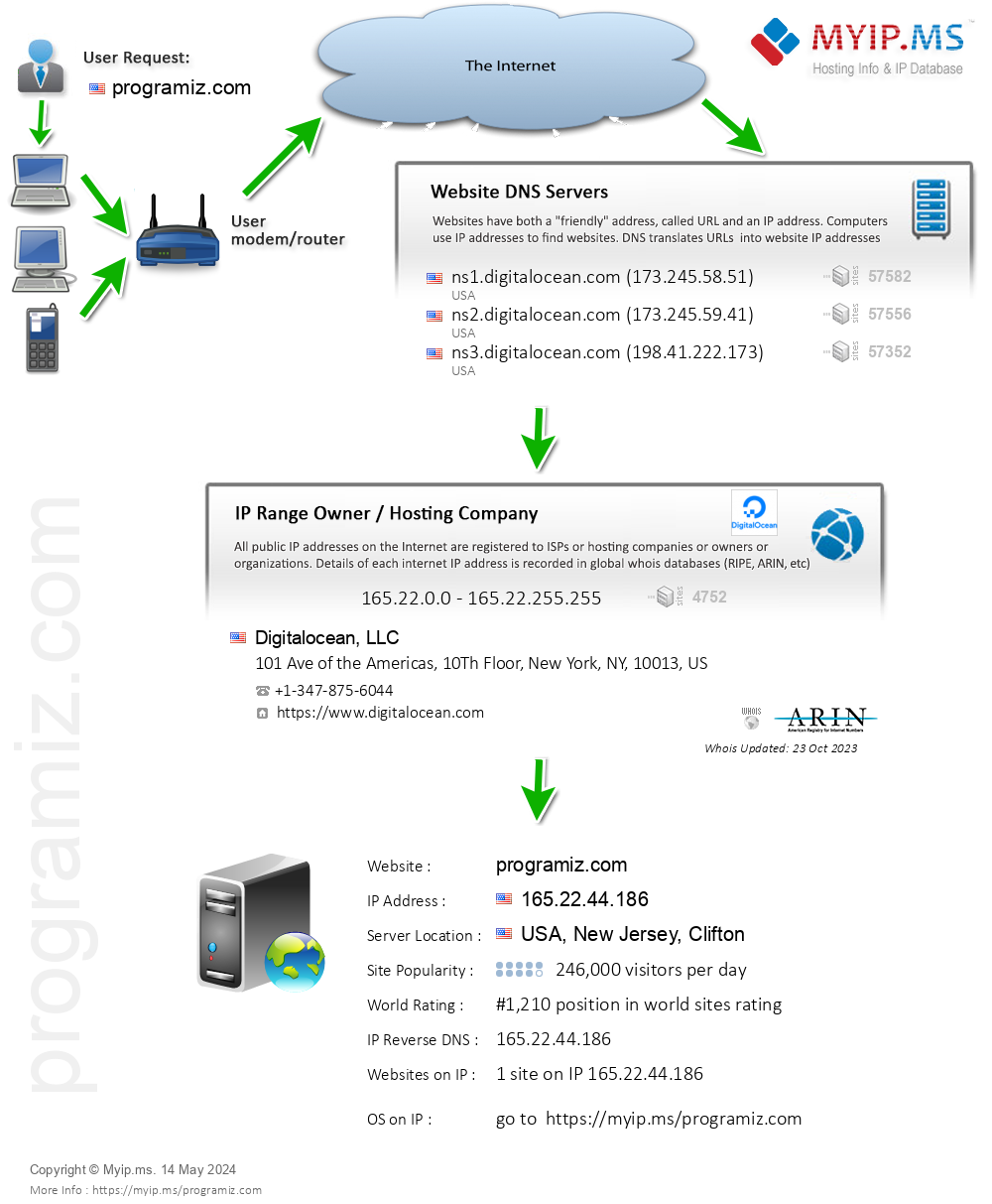 Programiz.com - Website Hosting Visual IP Diagram