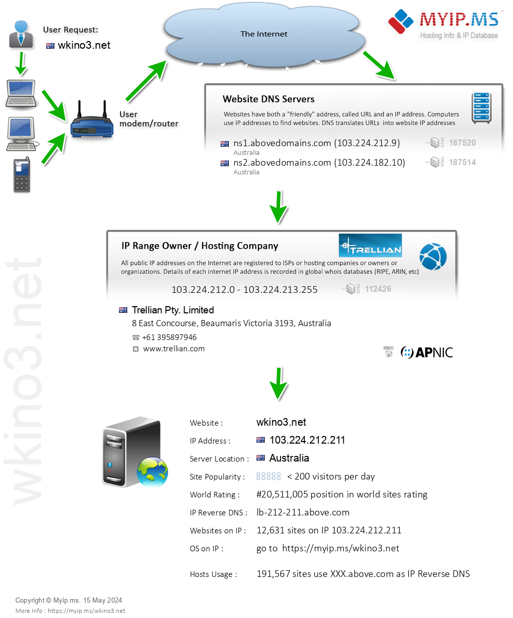 Wkino3.net - Website Hosting Visual IP Diagram
