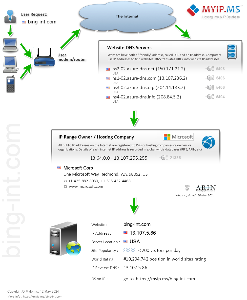 Bing-int.com - Website Hosting Visual IP Diagram