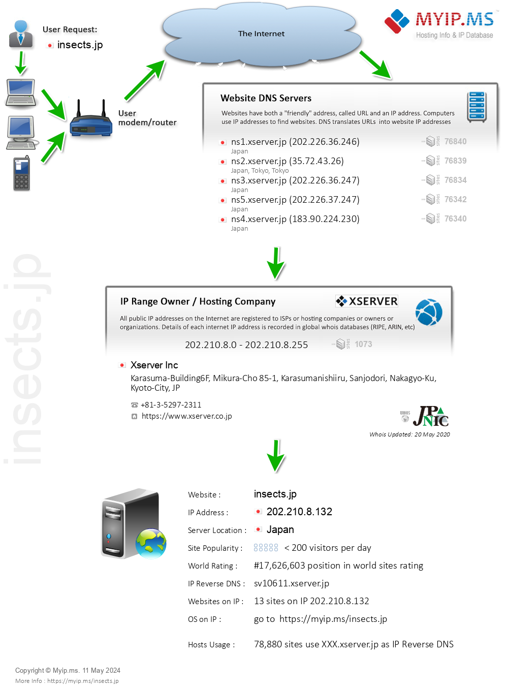 Insects.jp - Website Hosting Visual IP Diagram