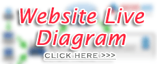 Website ebravo.pk - Visual Diagram